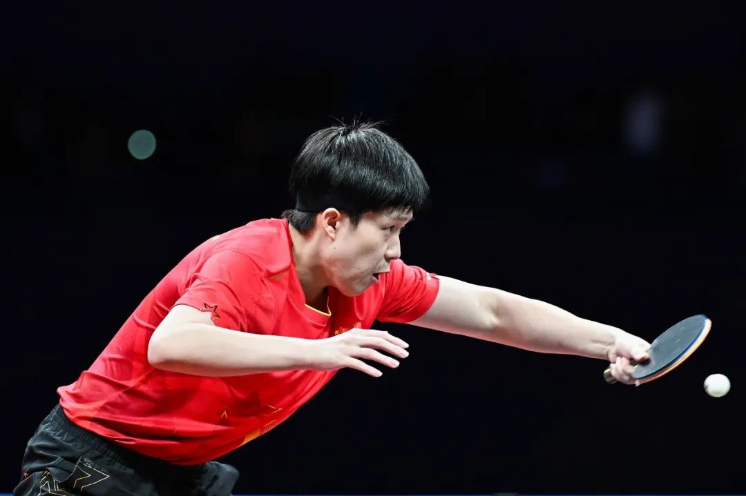 质和全面的 质和全面的