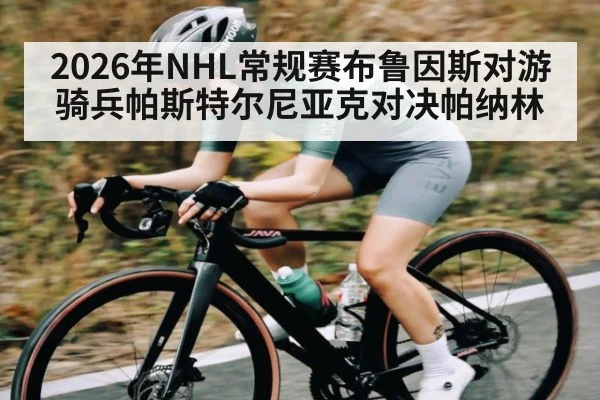 2026年NHL常规赛布鲁因斯对游骑兵帕斯特尔尼亚克对决帕纳林